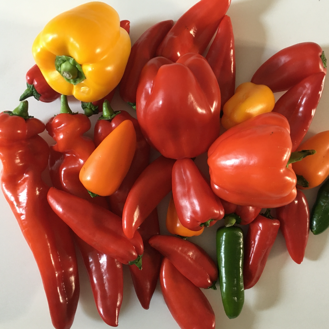 Pepper Sounds