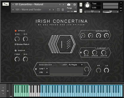Irish Concertina