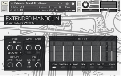 Extended Mandolin